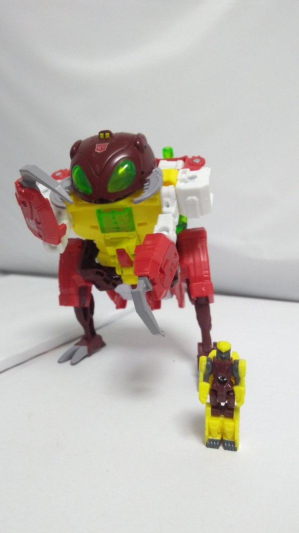 Transformers Generations Special Edition Repugnus In Hand Photos 06 (6 of 8)